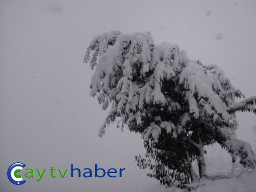 Rize Dağbaşı'ndan Kar Manzaraları 15
