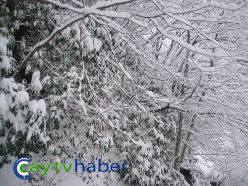 Rize Dağbaşı'ndan Kar Manzaraları 27