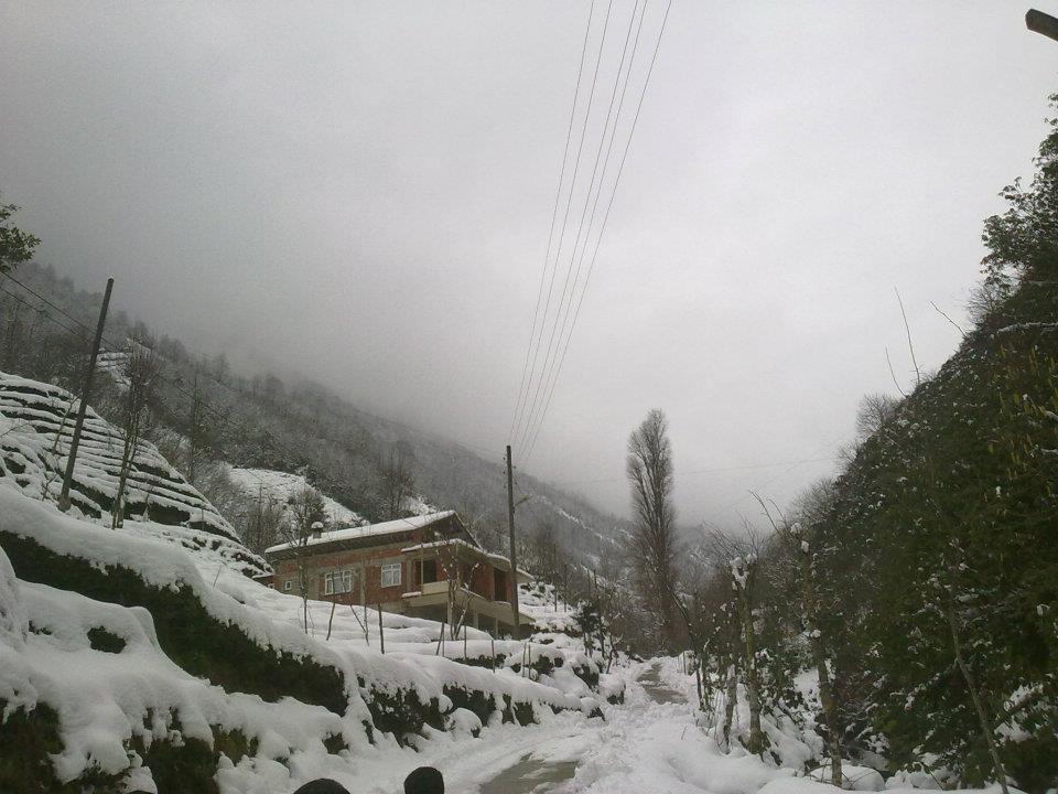Rize'den Kar Manzaraları 2 12