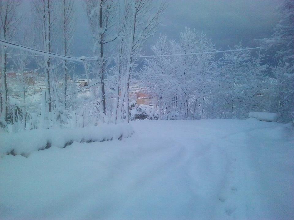 Rize'den Kar Manzaraları 2 2