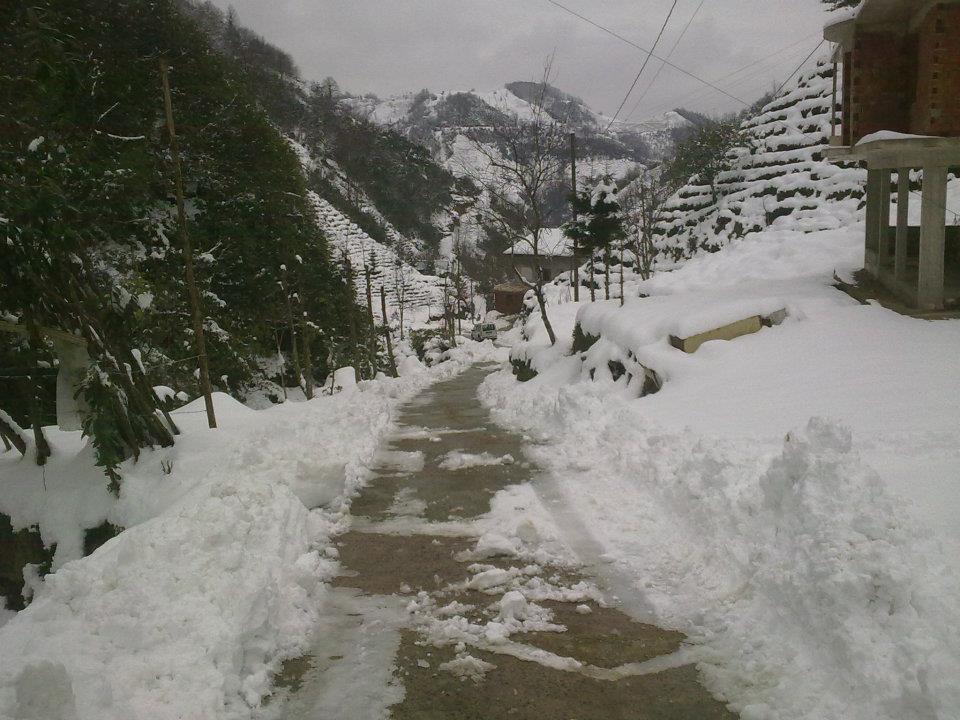 Rize'den Kar Manzaraları 2 7