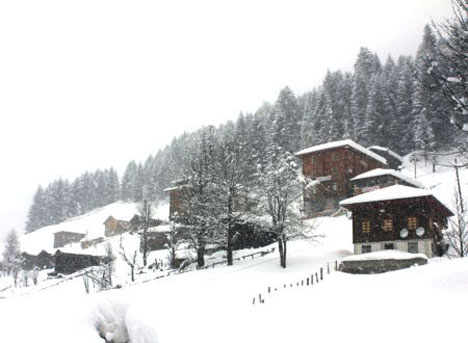 Ayder Beyaza Büründü 3