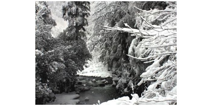 Ayder Beyaza Büründü