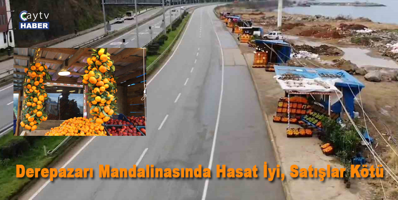 RİZE'NİN DEREPAZARI İLÇESİNDE YETİŞEN VE İSMİNİ YETİŞTİĞİ İLÇEDEN ALAN DEREPAZARI MANDALİNASINDA BU YIL HASADIN VERİMLİ GEÇTİĞİ ANCAK MANDALİNA SATIŞLARININ DÜŞTÜĞÜ BELİRTİLDİ
