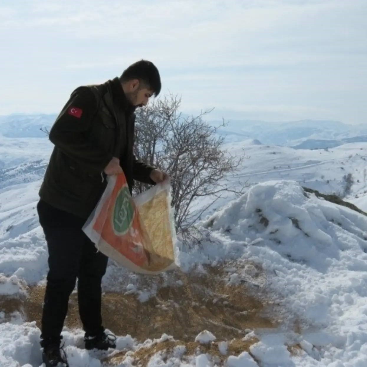 BAYBURT’TA YABAN HAYVANLARI İÇİN DOĞAYA YEM BIRAKILDI