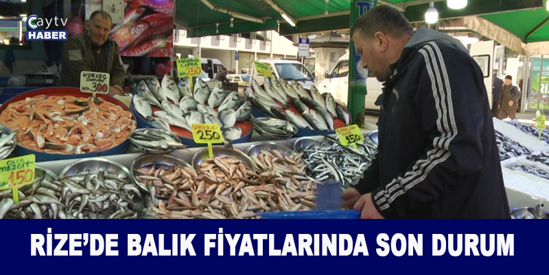 Rize’de Balık Tezgahları Ne Durumda? Tezgahları İstavrit Mezgit Ve Barbun Süslüyor