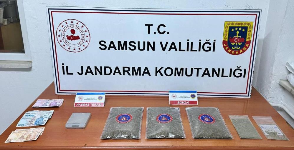 Samsun’da Jandarma 1 Kilo 50 Gram Bonzai Ele Geçirdi: 1 Gözaltı