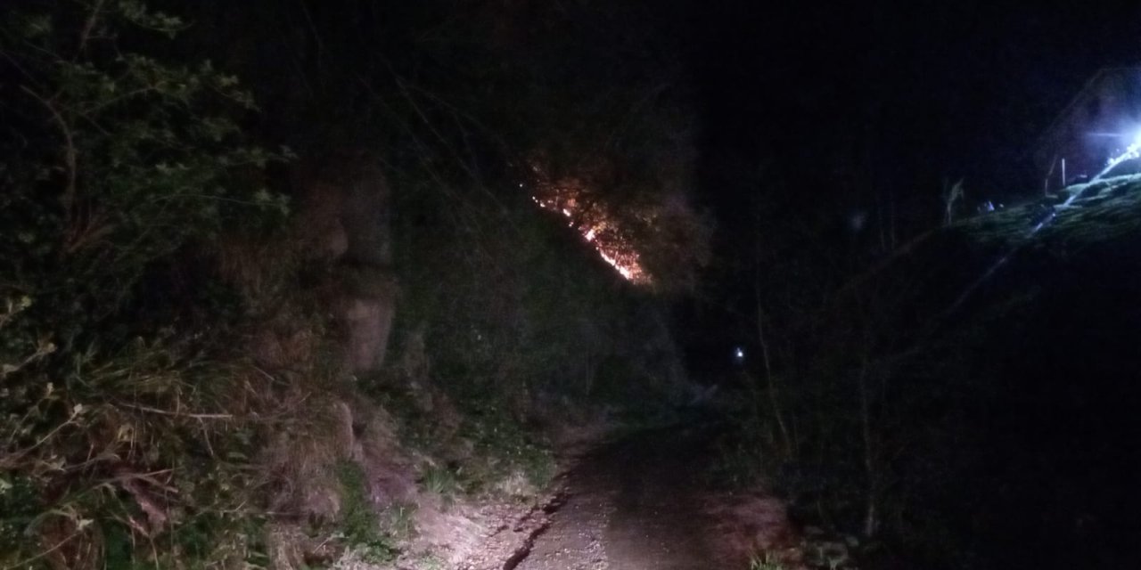 Rizenin Muradiye beldesinde ormanlık alanda yangın çıktı