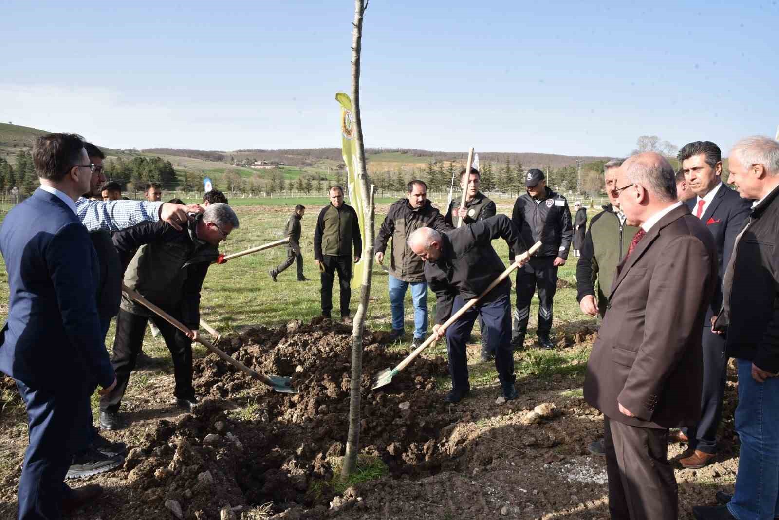 Samsun'da Bin 500 Fidan Toprakla Buluşturuldu
