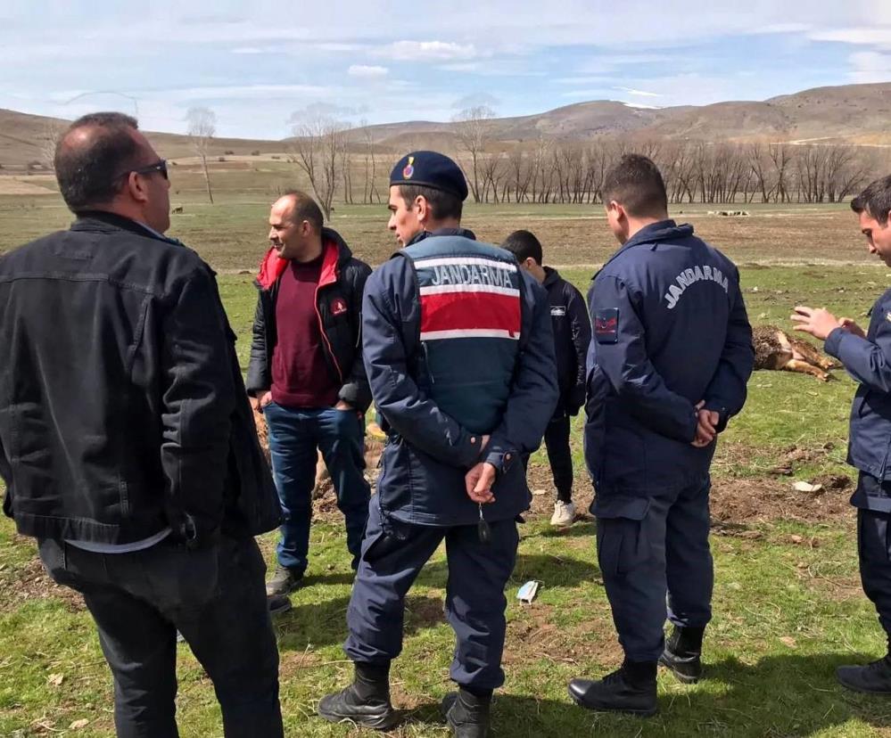 Bayburt'un Demirözü ilçesinde elektrik tellerinin açıkta olması sebebiyle 3 büyük baş hayvan telef oldu