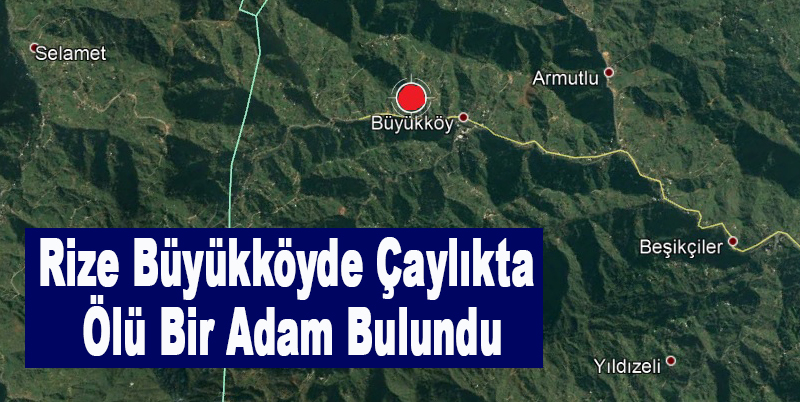 Rize Büyükköyde çaylıkta ölü bir adam bulundu