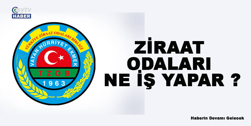 Ziraat Odaları Ne İş Yapar ?