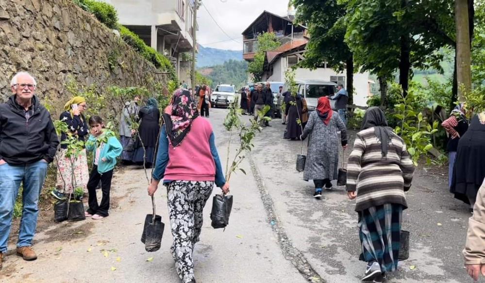 Çamlıhemşin’de Bin Meyve Fidanı Ve 300 Ata Tohumu Dağıtıldı