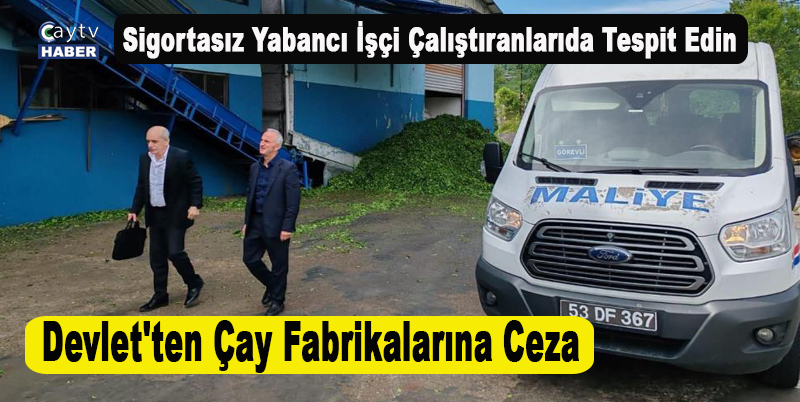 Devlet'ten Çay Fabrikalarına Ceza , 12 Firma'ya ceza kesildi