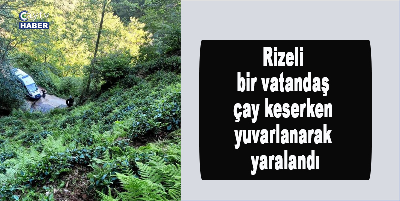 Rizeli bir vatandaş çay keserken yuvarlanarak yaralandı