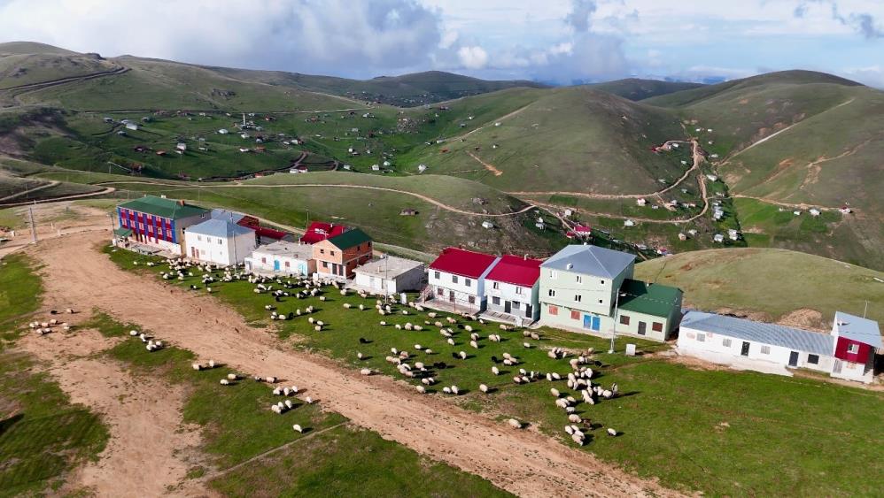 Doğu karadenizde yaylaları apartmanlarla doldurdular