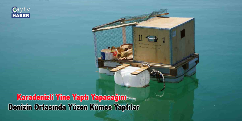 Karadenizli yine yaptı yapacağını , denizin ortasında yüzen kümes yaptılar