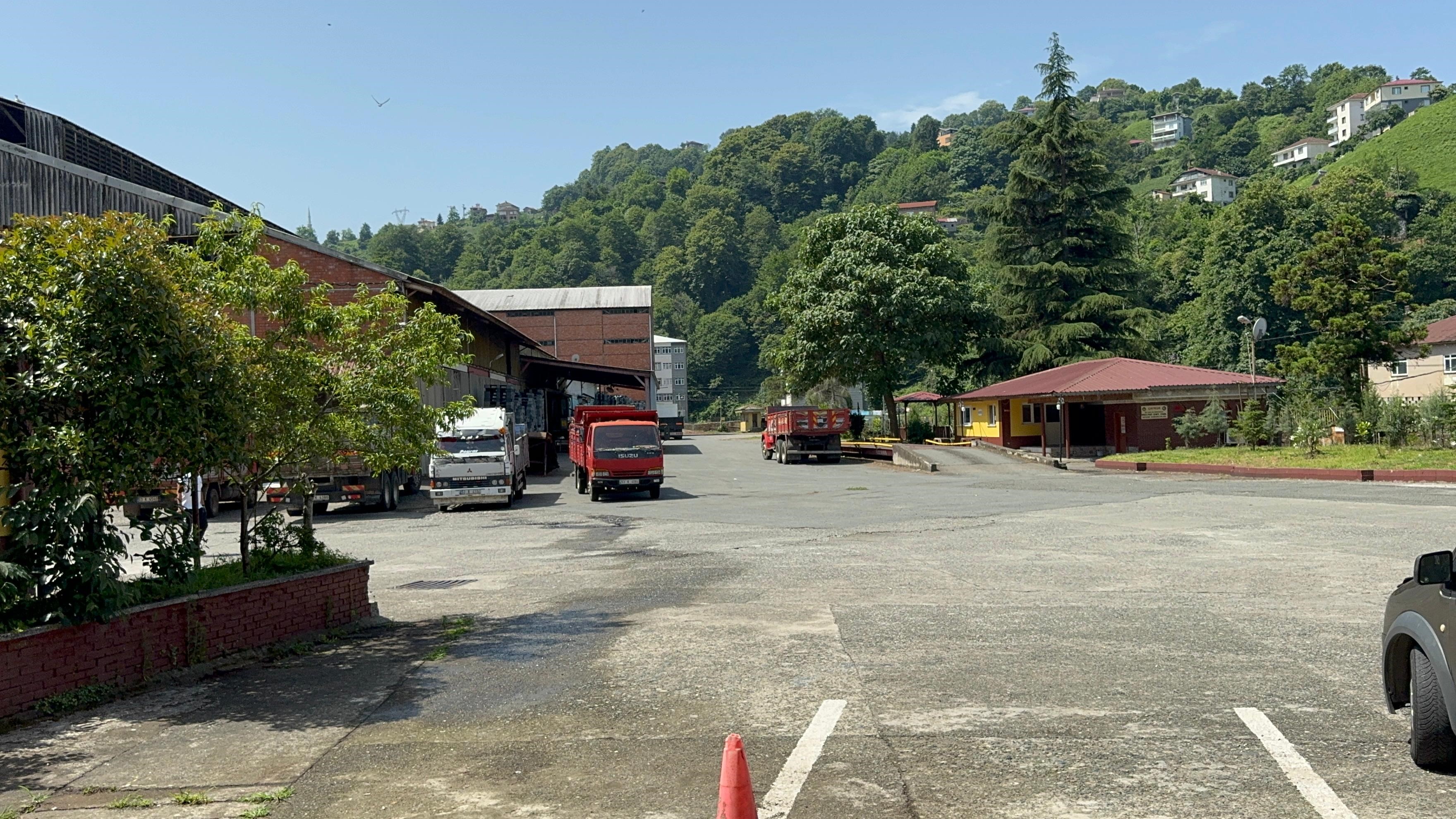 Rize'de ilginç olay , yavruyu kovalayan köpekler şaştı kaldı