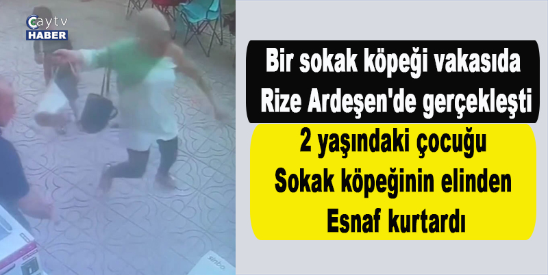 Bir sokak köpeği vakasıda Rize Ardeşen'de gerçekleşti. 2 yaşındaki çocuğu sokak köpeğinin elinden esnaf kurtardı