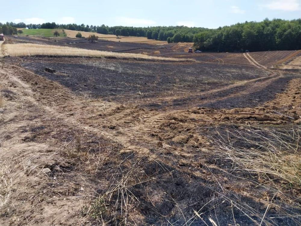 Samsun’da Buğday Arazisinde Yangın: 200 Dekar Alandaki Buğdaylar Yandı