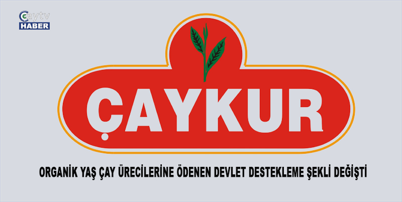 Organik yaş çay ürecilerinde sistem değişti , artık dönümüne 10 bin tL verilecek.