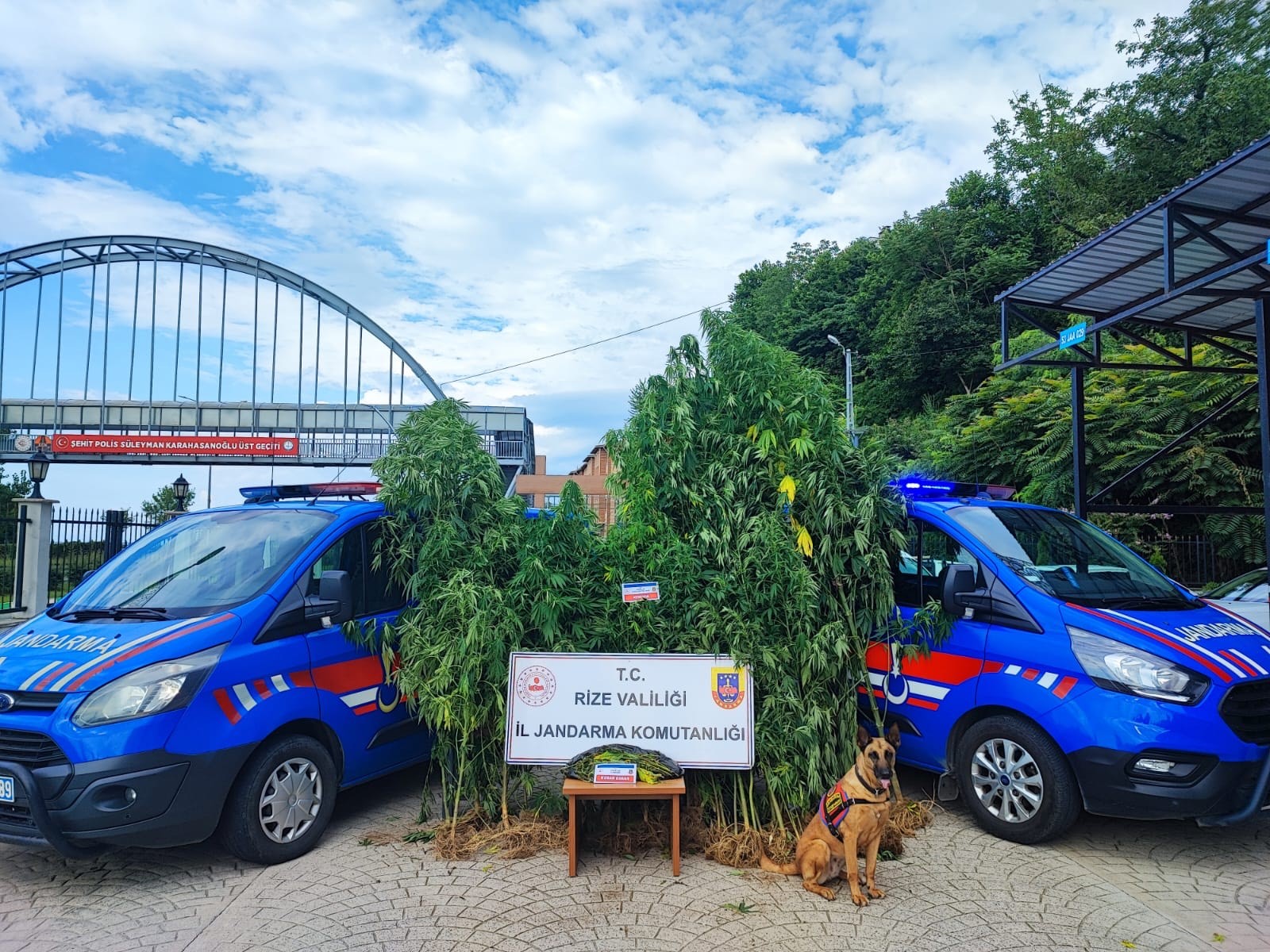Rize Jandarma Temmuz Ayı Bilançosunu Açıkladı