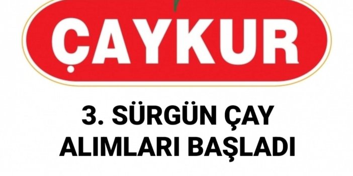 Çaykur 3. Sürgün yaş çay alımlarına başladı