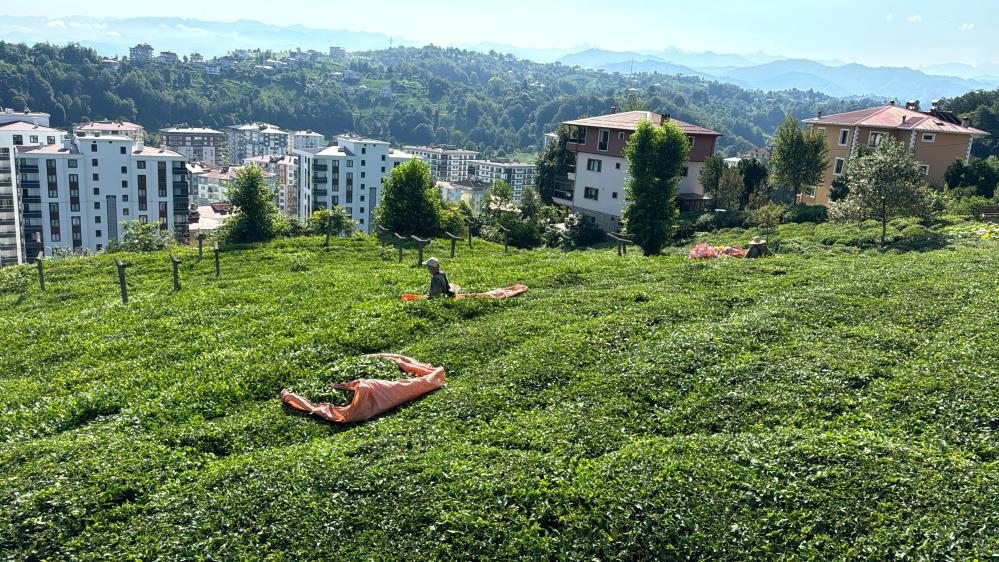 Rize'de 3. sürgün ne zaman başlar , İşte cevabı