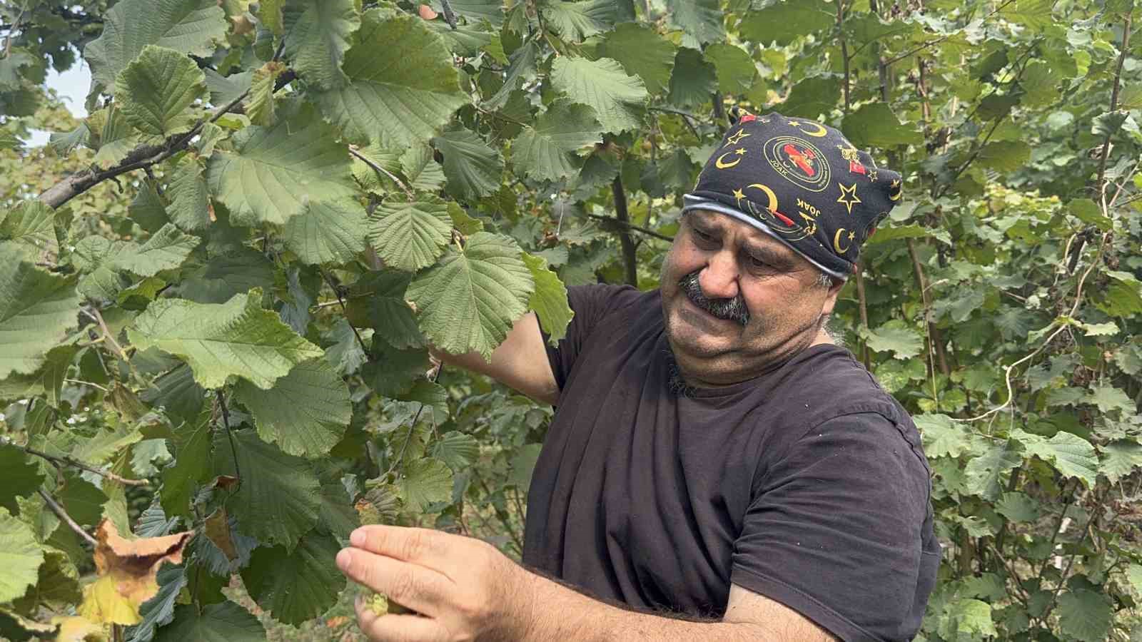 Ünlü Oyuncu Recep İvediğin Nurullah'ı, Bahçeye Girip Fındık Topladı