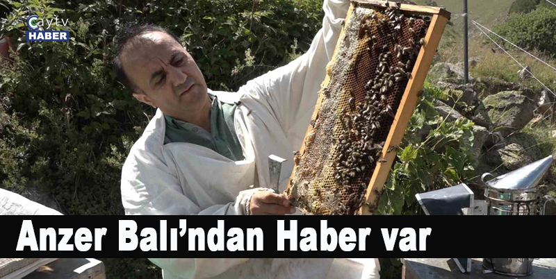 Anzer Balı’ndan Haber var , sağım tamamlandı