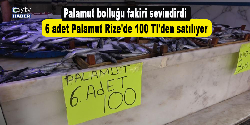Palamut bolluğu fakiri sevindirdi, 6 adet Palamut Rize'de 100 Tl'den satılıyor