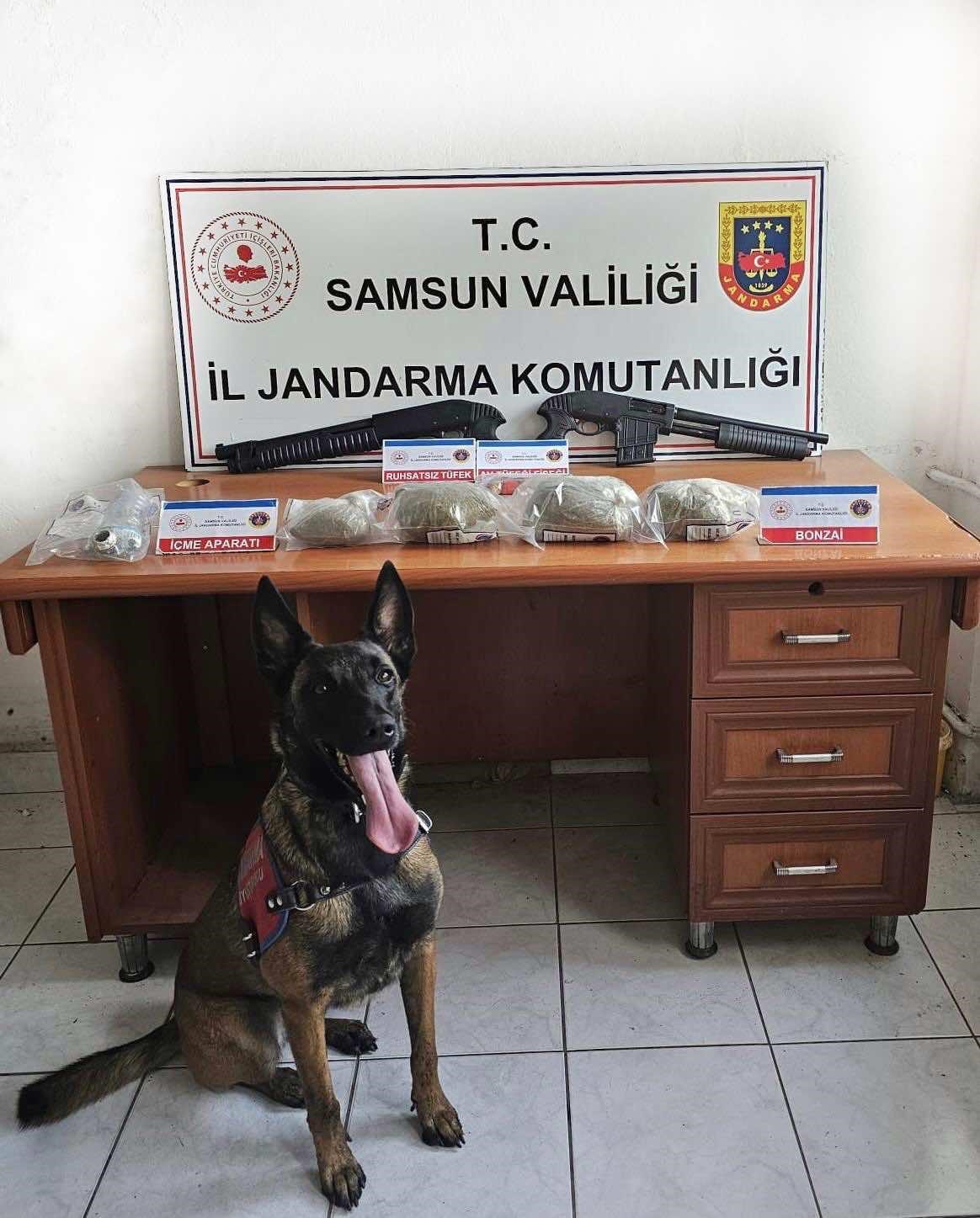Samsun’da Jandarma 3 Kilo Bonzai Ele Geçirdi