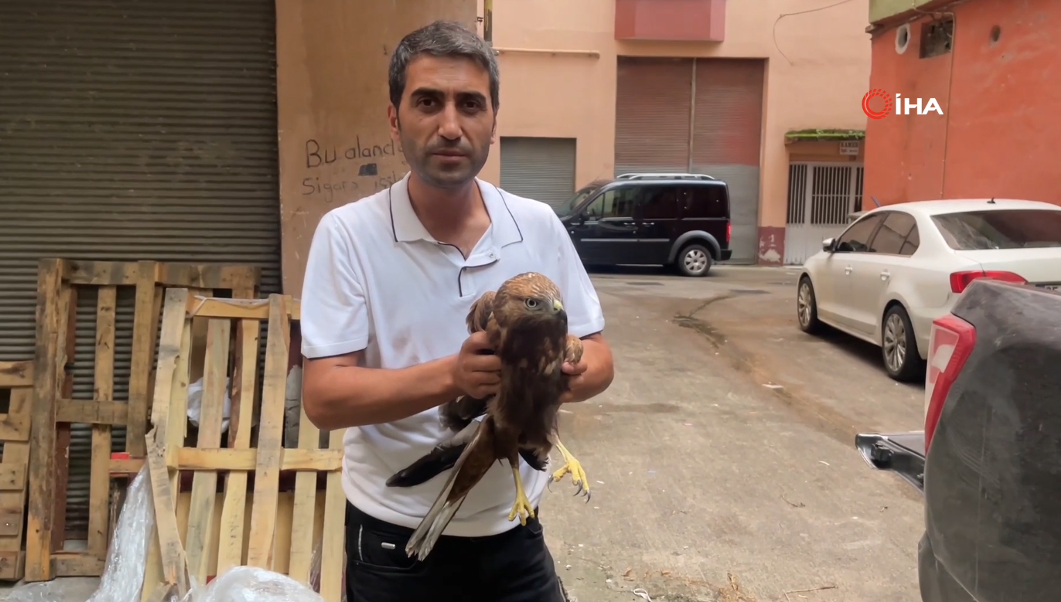 Yaralı Kartal'ı Rize'ye getirerek tedavi ettiriyor
