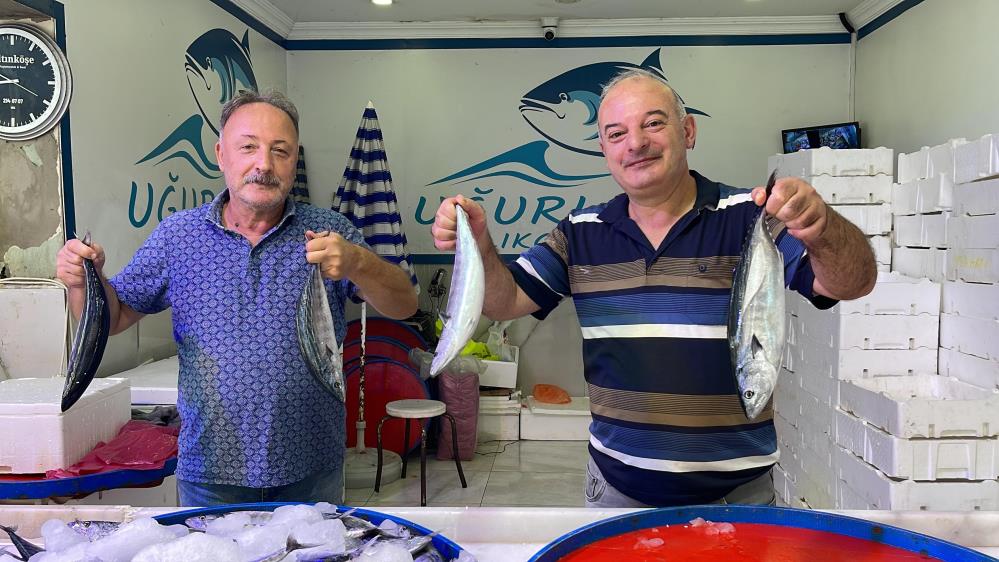 Palamutun Tezgahlardaki Krallığı Sürüyor, Tezgahlarda 3 Tanesi 100 TL'den satılıyor