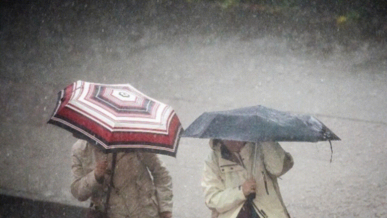 Meteoroloji Genel Müdürlüğü'nden Rize için önemli bir uyarı