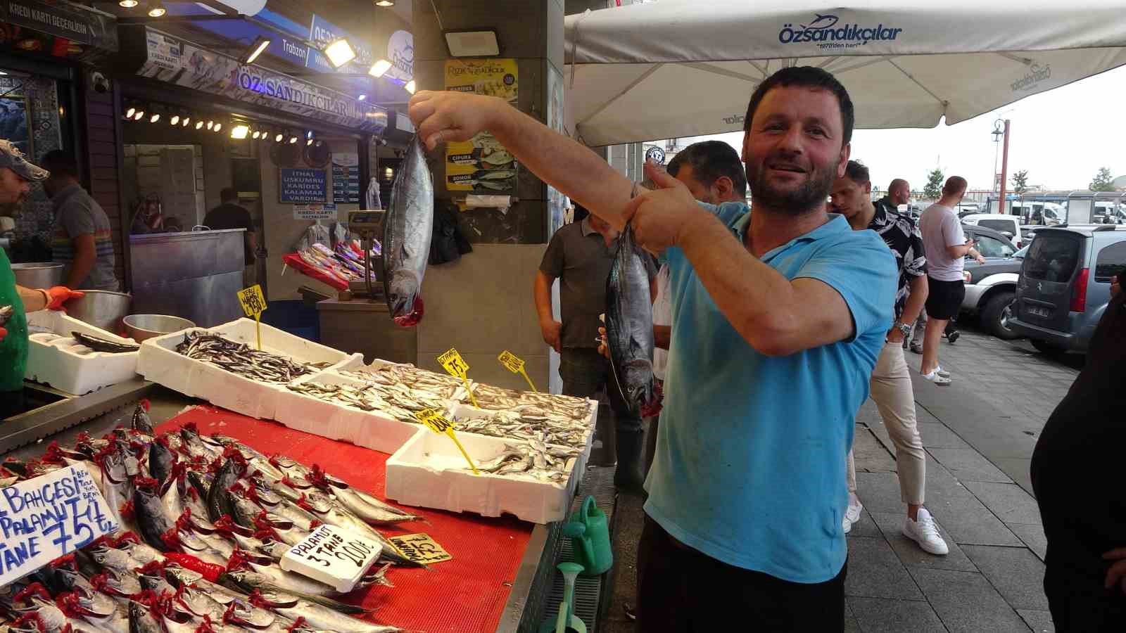 Palamut'tan kötü haber , hız kesti