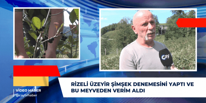 Rizeli Üzeyir Şimşek Denemesini yaptı ve bu meyveden verim aldı
