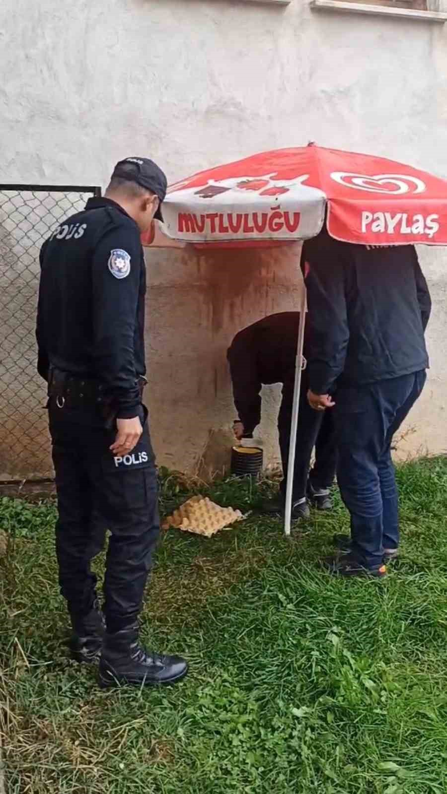Bayburt'ta kediyi borunun içinden bakın nasıl çıkarttılar