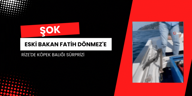 Eski Bakan Fatih Dönmez'e Rize'de Köpek Balığı Sürprizi