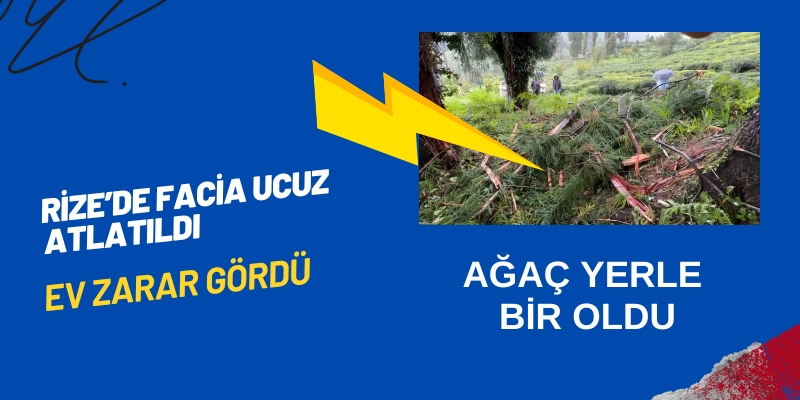 Rize'de Yıldırım Düşen Çam Ağacı Evi Hasar Verdi