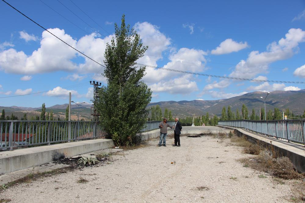 Amasya’da 16 Yıldır Tamamlanamayan Üstgeçitte Ağaçlar Bitti