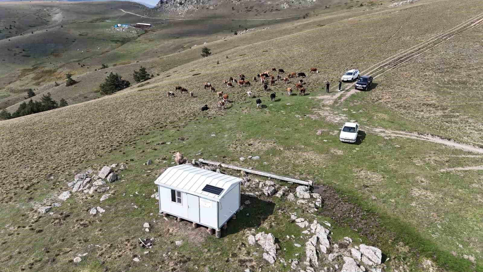 Herkesin Gezmek İstediği Yaylalar Onların Geçim Kaynağı
