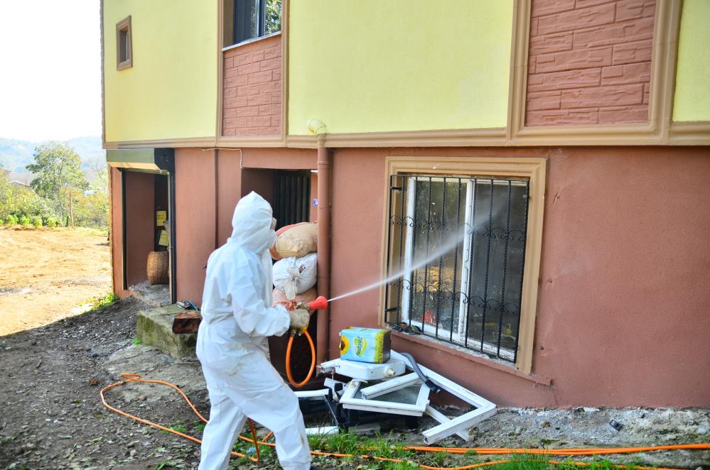 Samsun'da vatandaşlar evlerini kokarcaya karşı ilaçlattı