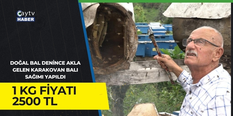 Doğal bal denince akla gelen Karakovan balı sağımı yapıldı