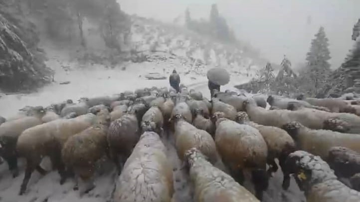 Çobanların yol çilesi , Kar bastırınca 3 günde mezraya ulaştılar