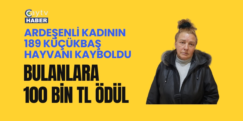 Ardeşenli Kadının 189 Küçükbaş Hayvanı Kayboldu: Bulanlara 100 Bin TL Ödül