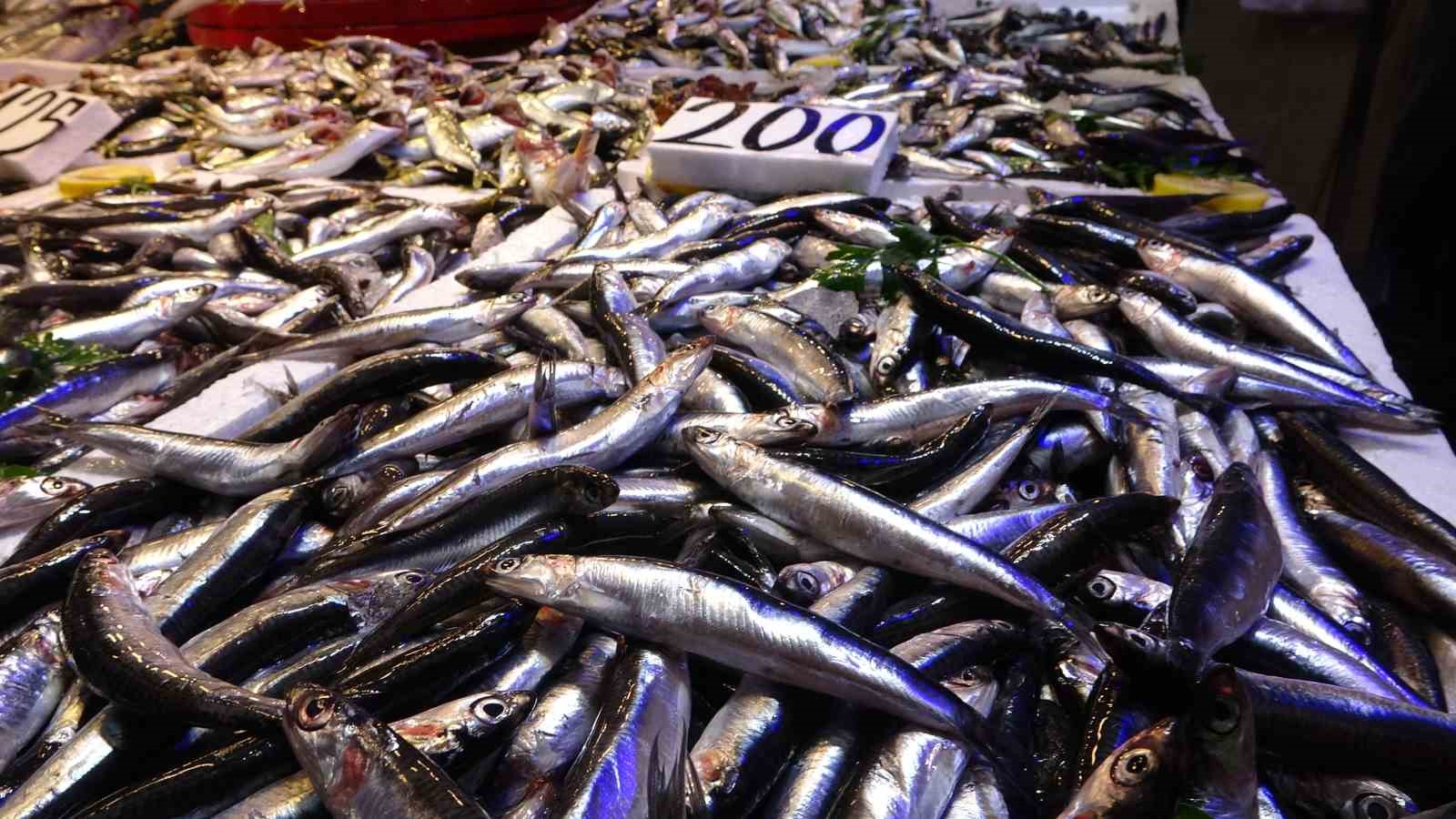 Karadeniz'de Hamsi 175 tl ile 200 tl arası satılıyor