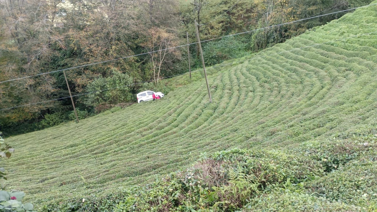 Rize’de Kontrolden Çıkan Araç Çay Bahçesine Yuvarlandı