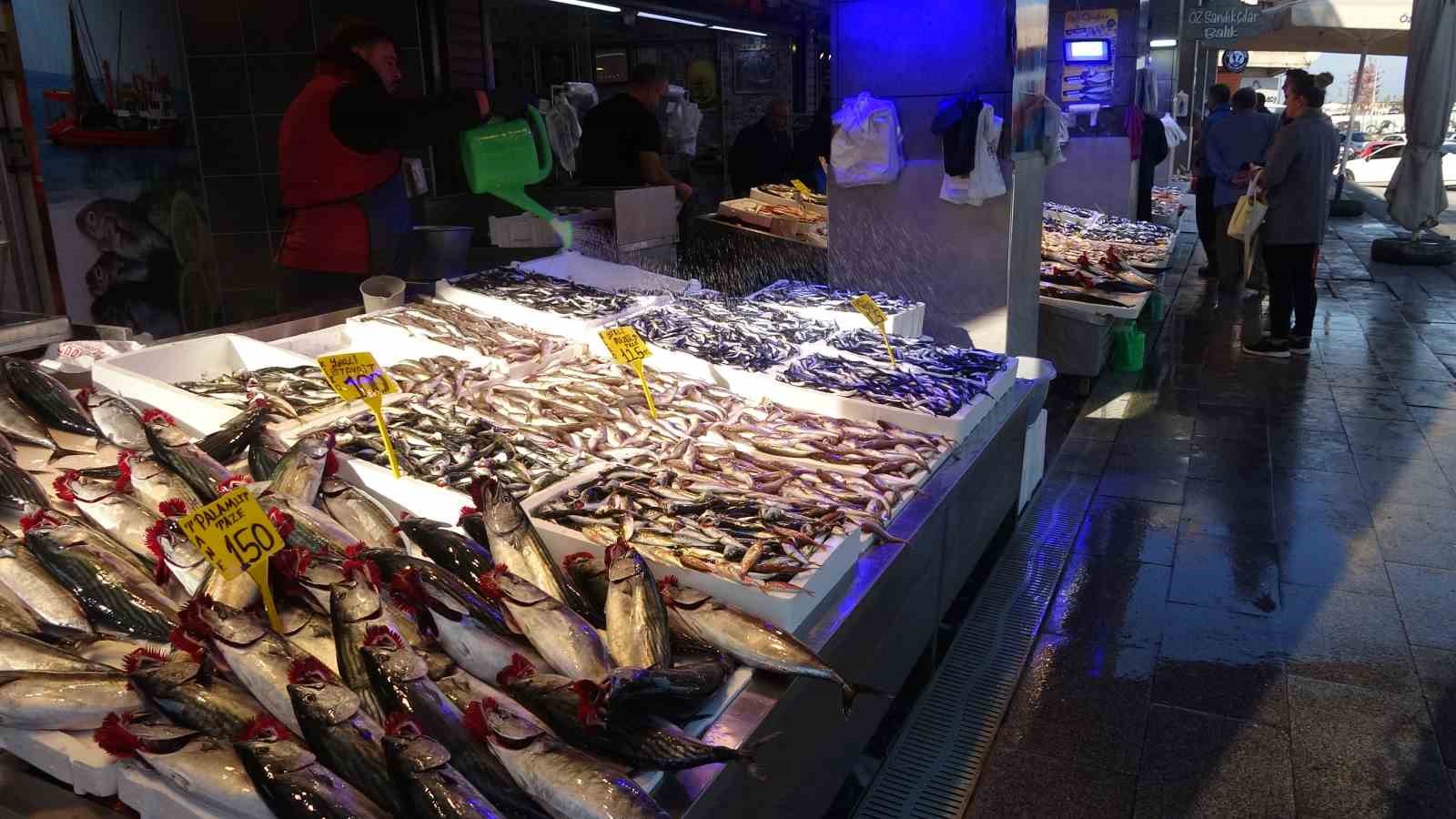 Gitti Palamut Geldi Hamsi