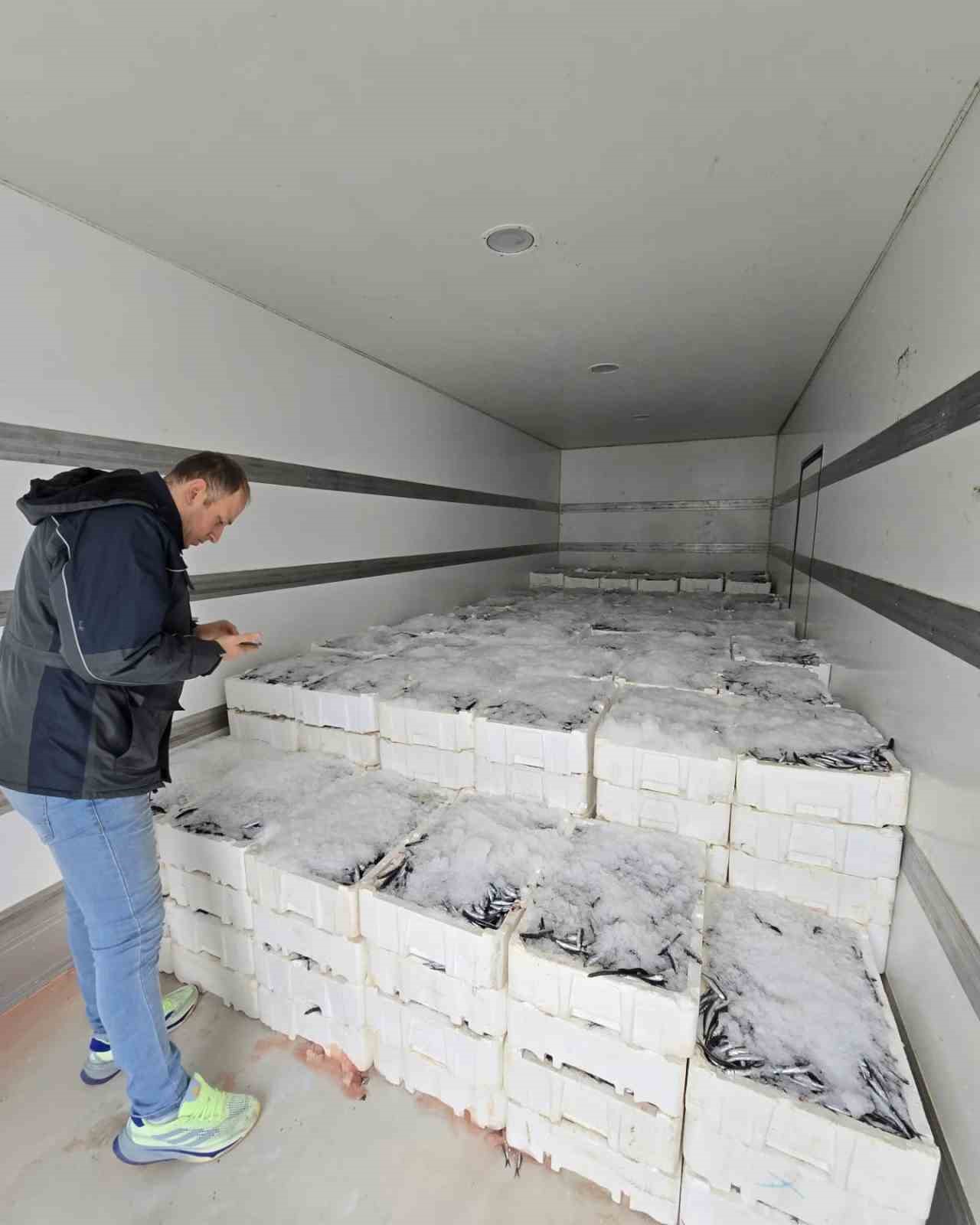 Karadeniz’de Hamsi Bereketi Yaşanmaya Başlandı